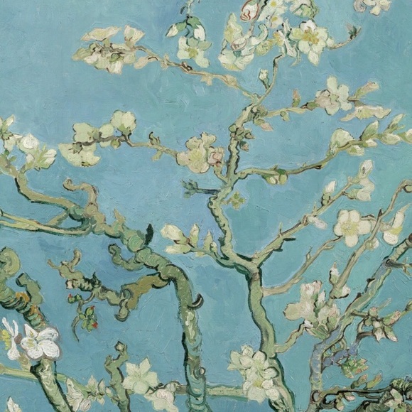 Meet your Posher, Feyza - Picture 1 of 1